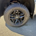 2020 Chevrolet Silverado Custom Trail Boss full